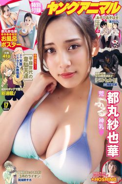 布衣知县梵如花